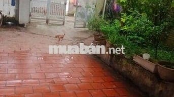 Bán đất thổ cư 80m2, mặt tiền 5m đẹp tại tiền phong, mê linh, hà nội