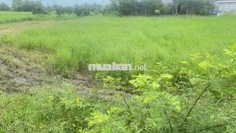 🌾🔥 CHẬM TAY LÀ MẤT – LÔ ĐẤT GIÁ RẺ NHẤT XÃ HIỆP HÒA! 🔥🌾