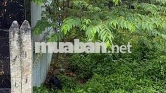 144m2 đất đường nhựa thông giá rẻ