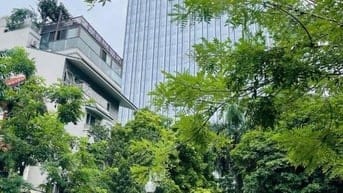CHÍNH CHỦ CẦN BÁN ĐẤT BIỆT THỰ VƯỜN ĐÀO LÔ D5 180m2 MT 11m