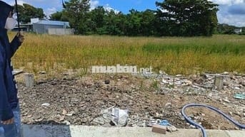 Nền đẹp ngay chợ Tân Trung 175m2/485tr, SHR/TC. Cách TP Gò Công 1km.