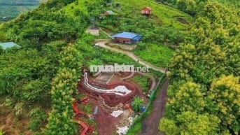 BỎ PHỐ VỀ VƯỜN - SỞ HỮU NGAY MẢNH ĐẤT ĐỒI GIÁ TỴ TẠI ĐỊNH QUÁN