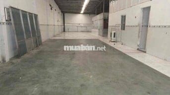 Cho thuê nhà kho ở thuận giao thuận an bình dương - Giá Rẻ Diện tích 1