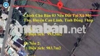 Chính Chủ Bán 03 Nền Đất Tại Xã Mỹ Thọ, Huyện Cao Lãnh, Tỉnh Đồng Tháp