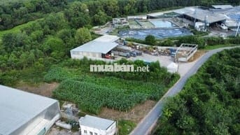 CHÍNH CHỦ KẸT TIỀN BÁN RẺ LÔ ĐẤT ĐƯỜNG NHỰA 206M² 350TR, BAO SỔ SÁCH