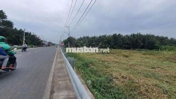 2000m2 đất CLN, san lấp cao ráo, mt Nguyễn Bình, Nhơn Đức, Nhà Bè