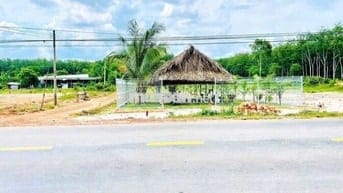 Đất nền 250m2, Mặt tiền DT750, xã Long Hóa, TP HCM (Dầu Tiếng, BD cũ)
