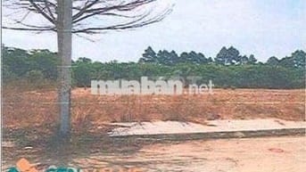 Bán ĐGTS đất tại phường Tân Thành, TP. Hồ Chí Minh