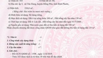 BÁN ĐẤU GIÁ TS MSB L2_XÃ TÂN HƯNG, ĐỒNG PHÚ, BÌNH PHƯỚC