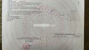 Bán đất Trung Mầu - Trung Mỹ - Bình Xuyên - Vĩnh Phúc