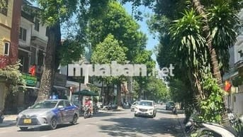 Bán nhà mặt phố Ngô Thì Nhậm - KINH DOANH - VỈA HÈ RỘNG - MẶT TIỀN 6m