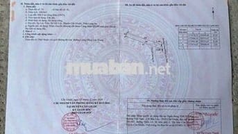 Bán nhà mặt đường nhựa 8m cần Giuộc Long An