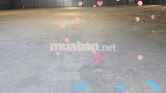 CHO THUÊ KHO 1500M2 KCN TÂN BÌNH ĐƯỜNG CON40F TRẦN CAO 12M  CO PCCC