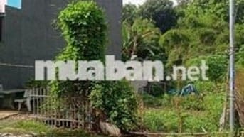 Sát TDM, hẻm 5m, đất vuông vức, kín dân, thoáng, mát, 1,86tỷ