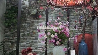 Cho thuê nhà ở Tổ 14 phường Gia Thụy - Ô tô để trong nhà
