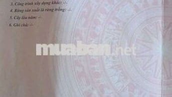Cần bán gấp lô đất mặt đường trục thôn Phương Chử Đông, Trường Thành