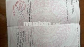 Mẹ mình đi định cư mỹ không ai trông koi nhà nên cần bán gấp