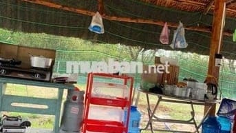 Bán nhà vườn Thái Mỹ - Củ Chi: 954m2(24x37) - 300m2 thổ cư. Giá 2tỷ200