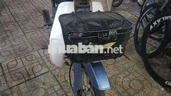 Cub 50 lên lòng 110 năm 1999