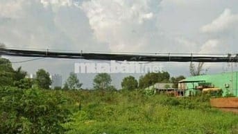 Lục đục chia tài sản cần bán lô đất MT Hưng Long-An Phú TâyBình Chánh