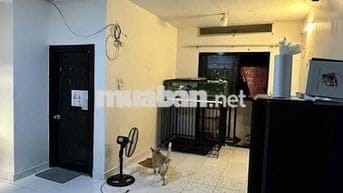Căn hộ 1PN Thái An mới sơn lại 46m2