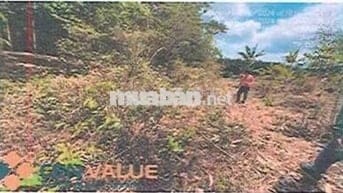 Bán ĐGTS đất tại phường Đồng Xoài, tỉnh Đồng Nai