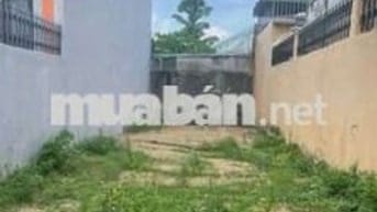 Cần tìm gấp vài nền đất dự án chính chủ sổ sẵn khu vực Bình Phước