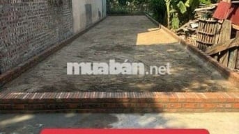 Đất Quang Tiến Đông Lai Ngay gần khu đấu giá đón sóng đường 1500 tỷ