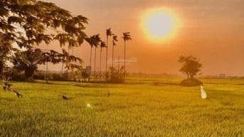 200m² đất vàng phố cổ Hội An vị trí đẹp, lý tưởng làm homestay 