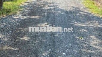 Đất Hảo đước / cách HL4 ,trường học,70m