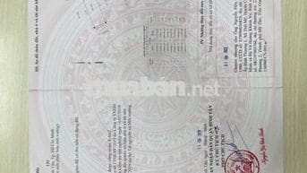 Chính chủ cần bán đất tại đường Hồ Ngọc Lãm