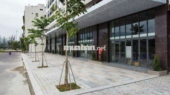 MẶT BẰNG RIÊNG BIỆT CT2 VCN PHƯỚC LONG GIÁ 15 TRIỆU/THÁNG