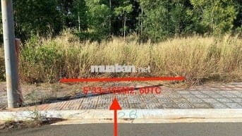 ĐẤT HẮC DỊCH, ĐƯỜNG NHỰA, VỊ TRÍ TIỀM NĂNG,