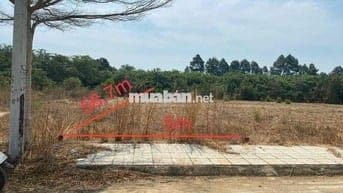 Thanh lý lô đất 290m2 tại Hắc Dịch, Phú Mỹ, BRVT giá chỉ 733 triệu