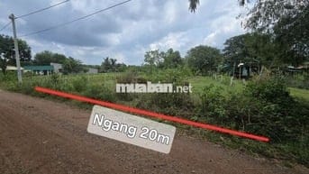 Bán đất QL55 biển BÌNH CHÂU – 1000m2 – 1,9 TỶ –CÓ 120m THỔ CƯ
