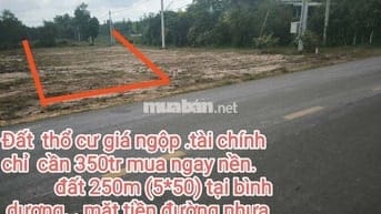 Bán đất ngộp giá  rẻ bình dương.  Giá 350 triệu . Diện tích 250m2.