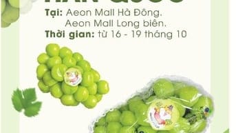 LỄ HỘI NHO SỮA HÀN QUỐC – CHỈ DIỄN RA DUY NHẤT TẠI AEON MALL