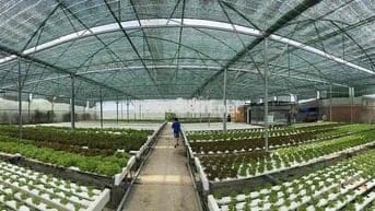 Bán đất tại Đường Vườn Thơm Bình Chánh Đã có sổ.