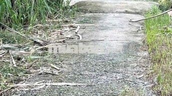 Ngay ngã 5 Chùa Hang – 2/ Phạm Thị Giây, gần chợ Ba Bầu, trường học, g