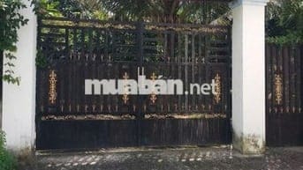 ĐẤT FULL THỔ CƯ 146,3 m2 - Phước Hậu, Cần Giuộc, Long An