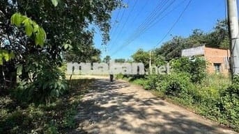 Bán gấp lô đất 200m² sau chợ An Linh – giá chỉ 420 triệu, có thổ cư!