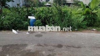 Bán cặp đất đường nhựa 10m thông,KDC Tân Đức,giai đoạn 1