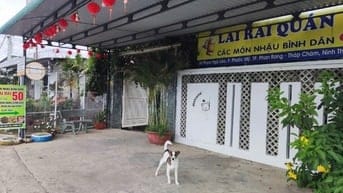 Mặt bằng thoáng mát, phù hợp kinh doanh cafe võng, quán ăn,quán nhậu