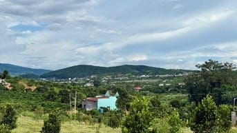 Bán 196m2 đất Nam Ban chỉ 660 triệu, vị trí ngay chính giữa Đà Lạt