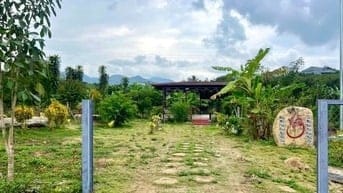Chỉ với 750 triệu/lô đất tặng ngay vườn trái cây tại Bảo Lộc