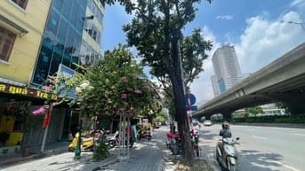 Bán nhà ngay ngã 4 Khuất Duy Tiến, 5m mặt tiền, Kinh doanh, Building