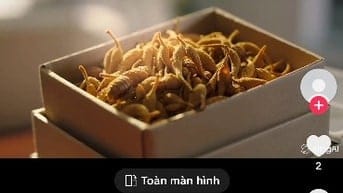 Bán Đông Trùng Hạ Thảo sấy Thăng Hoa đang bán cho Bác Sĩ, giá hợp lý 