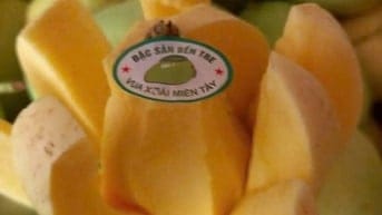 Bán sỉ Xoài Tứ Quý Bến Tre đi các tỉnh