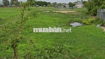 Còn vài lô cuối đường 6b Vĩnh Lộc B, Bình Chánh 95,5m2 giá 919tr