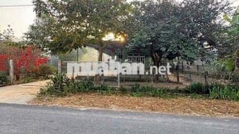 Cần Bán nhà vườn Bình Dương 1200m2